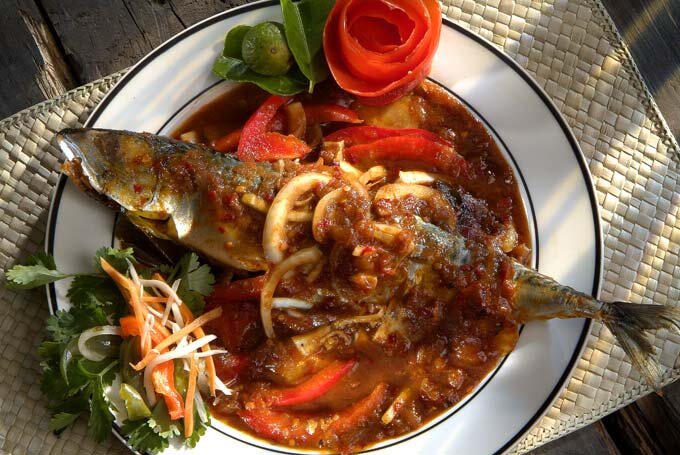 Ikan Makreel